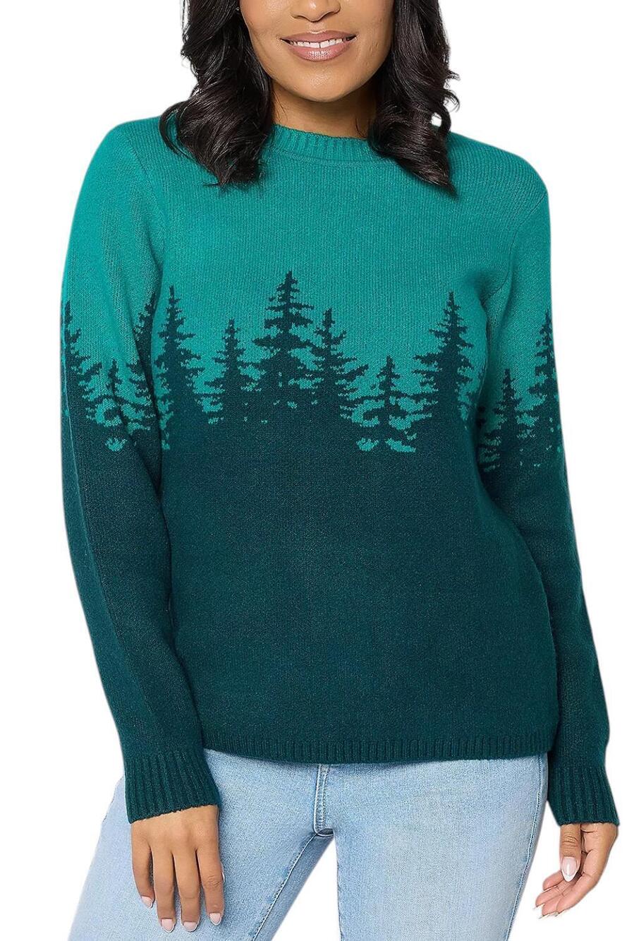 Denim & Co. Women's Crewneck Long-Sleeve Scenic Sweater Turq - Plus